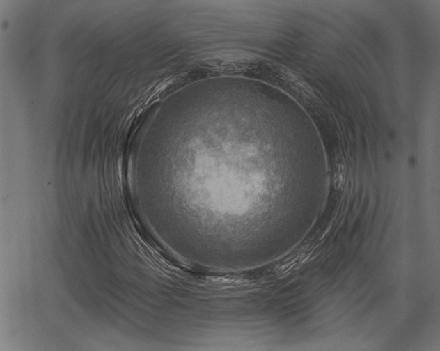 X0000065951108200603031055