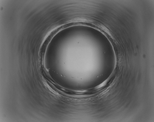 X0000065951116200603031056