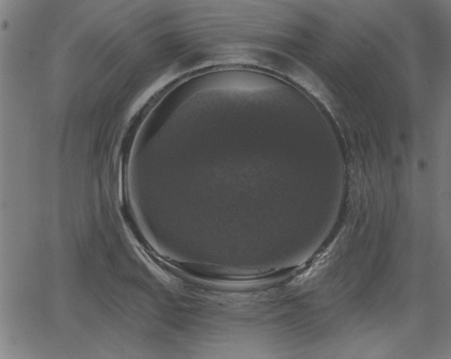 X0000065951127200603031056