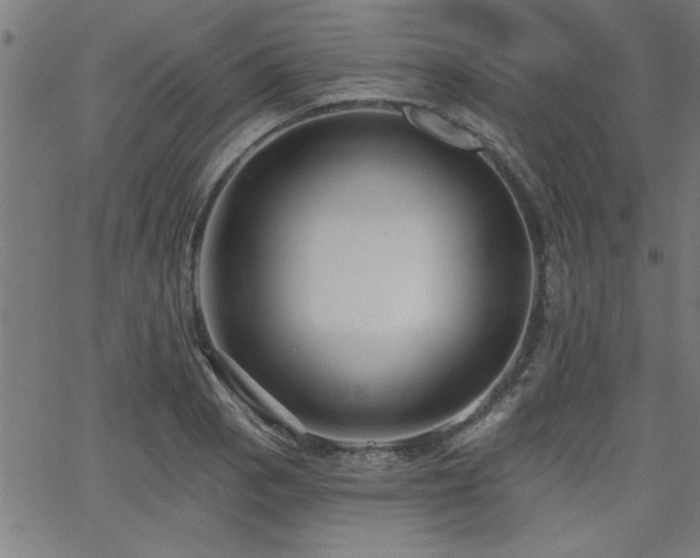 X0000065951129200603031056