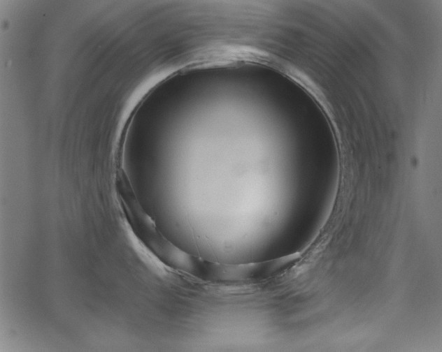 X0000065951152200603031056