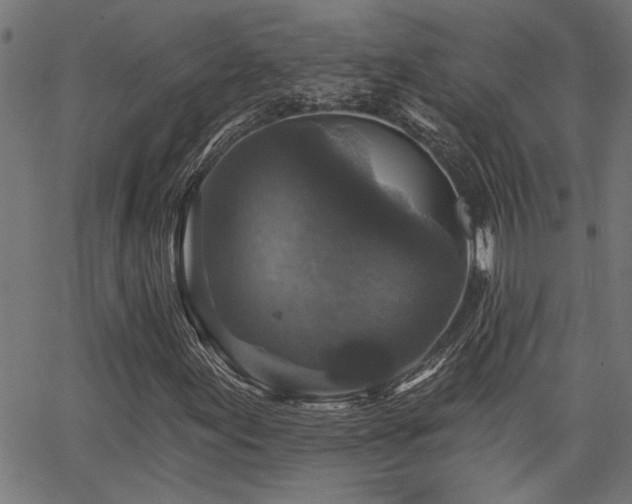 X0000065951155200603031055