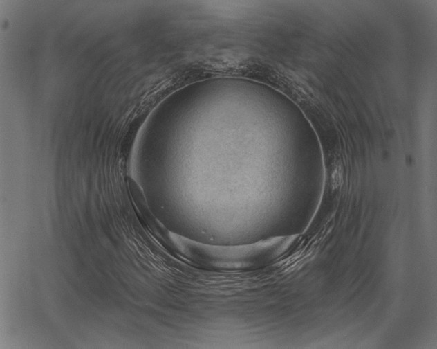 X0000065951156200603031055