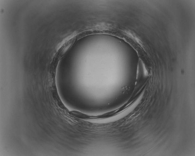 X0000065951160200603031055