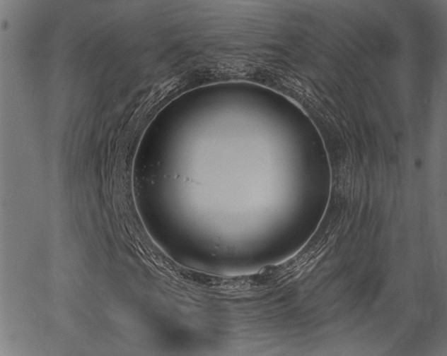 X0000065951201200603031054