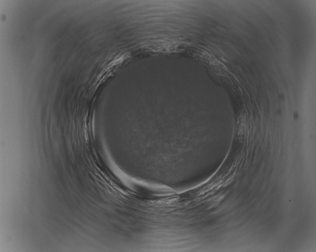 X0000065951202200603031054