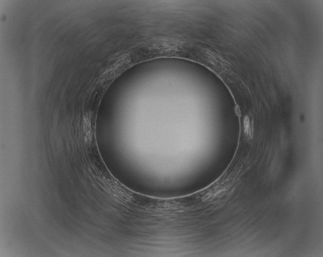 X0000065951203200603031054