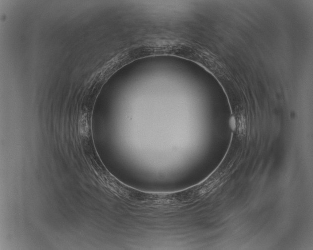 X0000065951204200603031054
