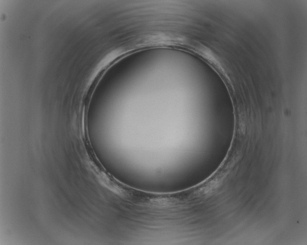 X0000065951227200603031054