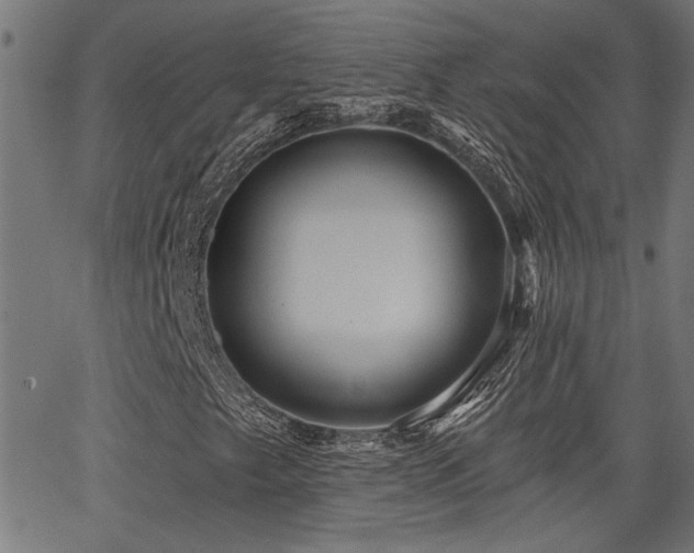 X0000065951249200603031054