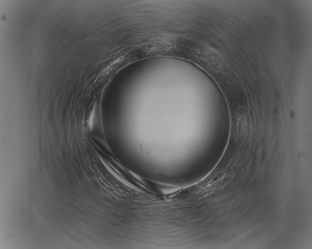 X0000065951250200603031054