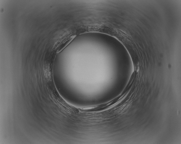 X0000065951252200603031054