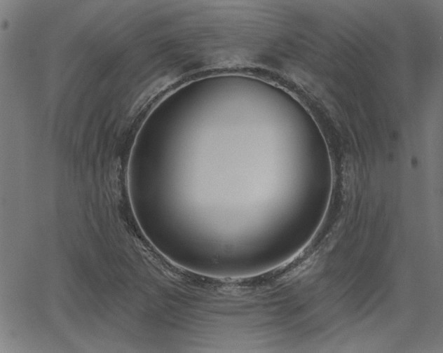 X0000065951265200603031054
