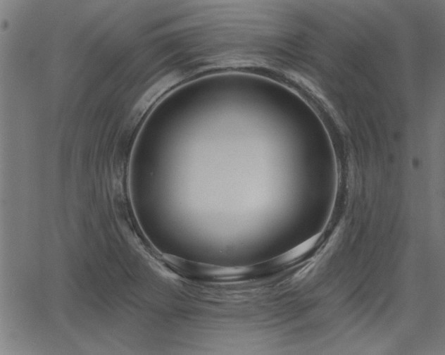 X0000065951273200603031053
