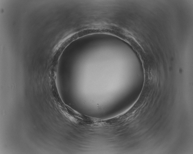 X0000065951304200603031052