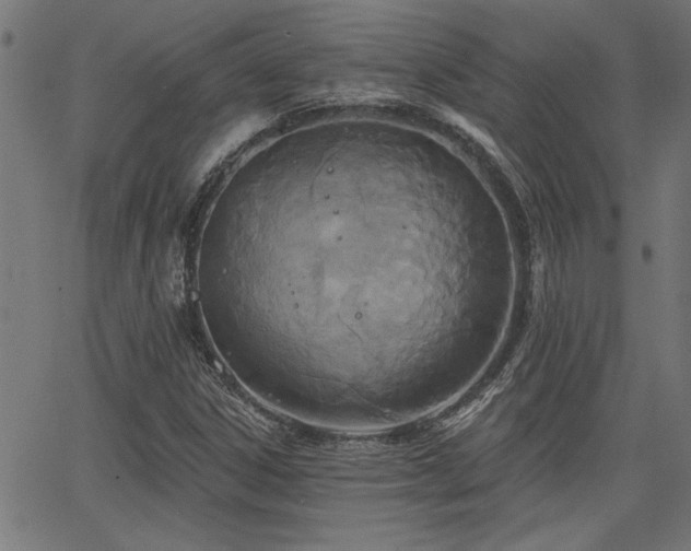 X0000065951306200603031052