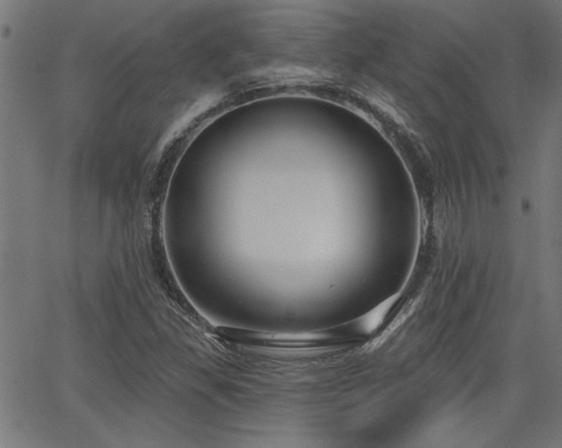 X0000065951309200603031052
