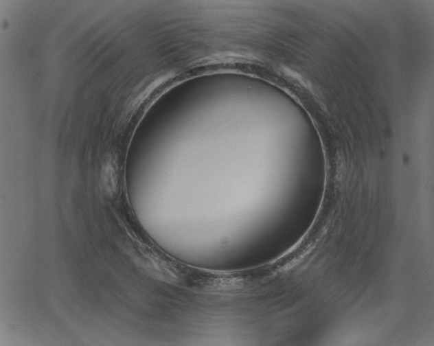 X0000065951313200603031052