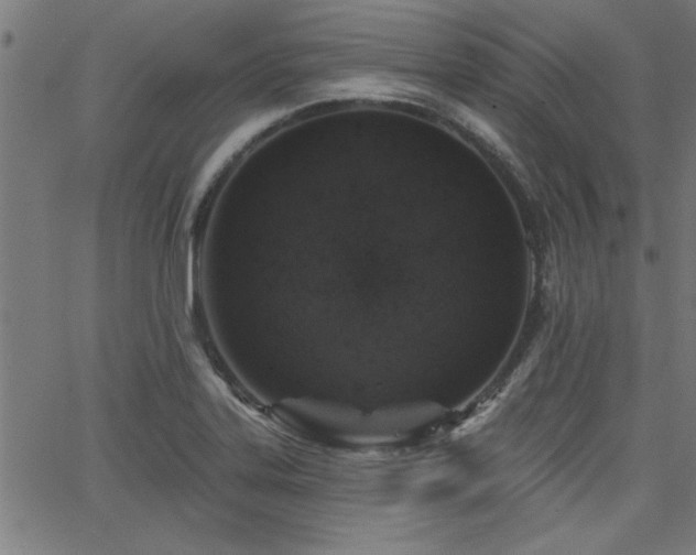 X0000065951323200603031053