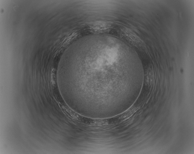 X0000065951346200603031052