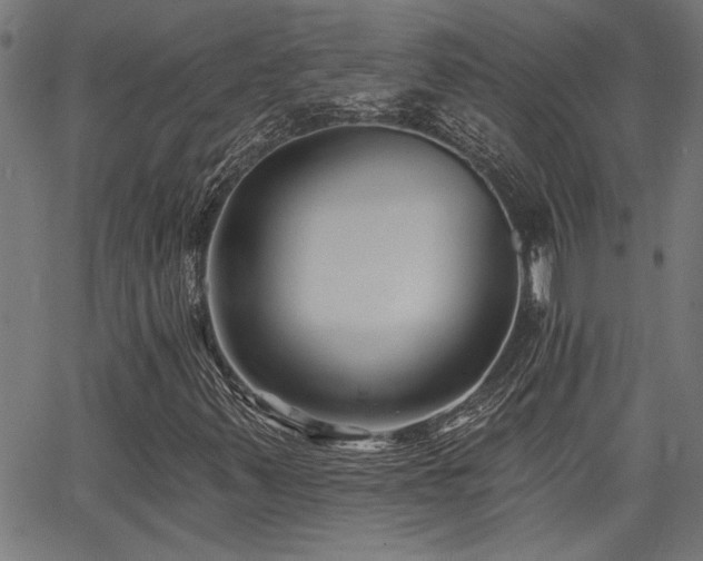 X0000065951347200603031052