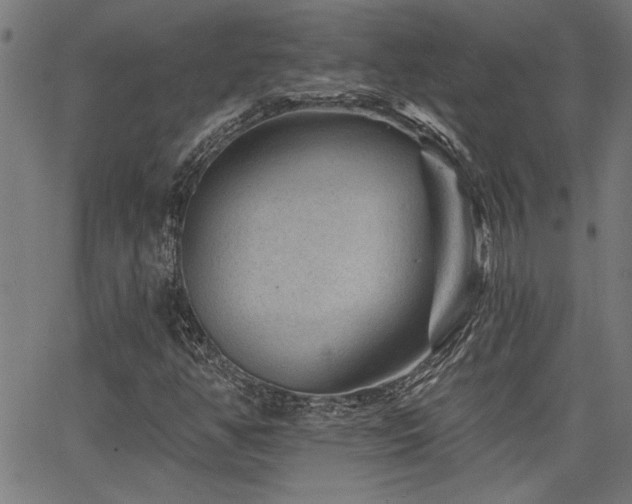 X0000065951350200603031052