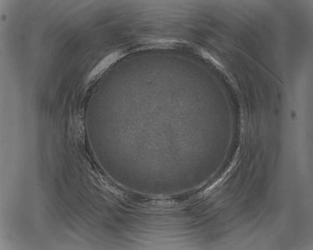 X0000065951354200603031052