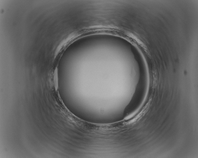 X0000065951357200603031052