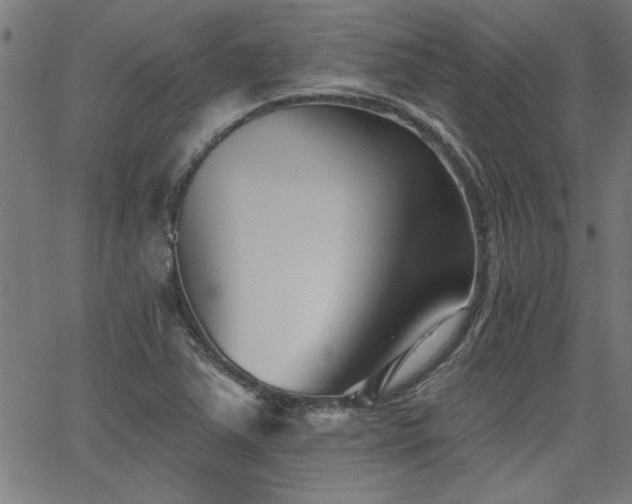 X0000065951363200603031052