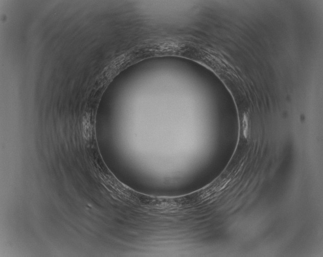 X0000065951395200603031051