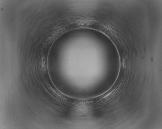 X0000065951396200603031051