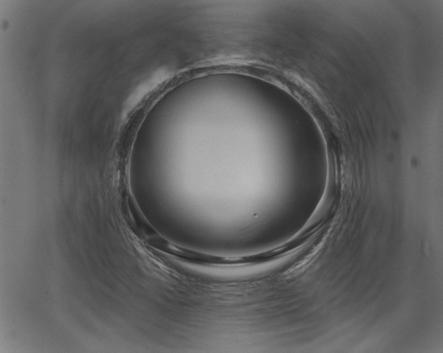 X0000065951406200603031051