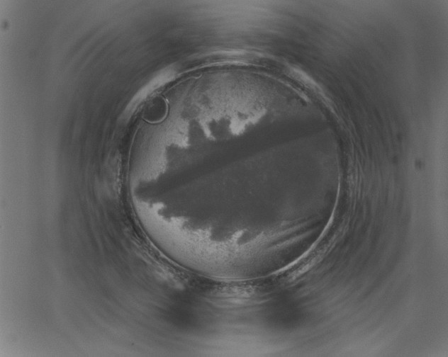 X0000065951411200603031051