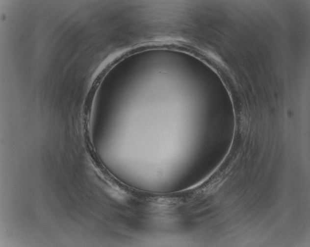 X0000065951412200603031051