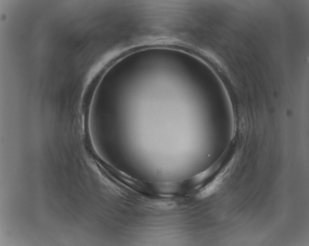 X0000065951414200603031051
