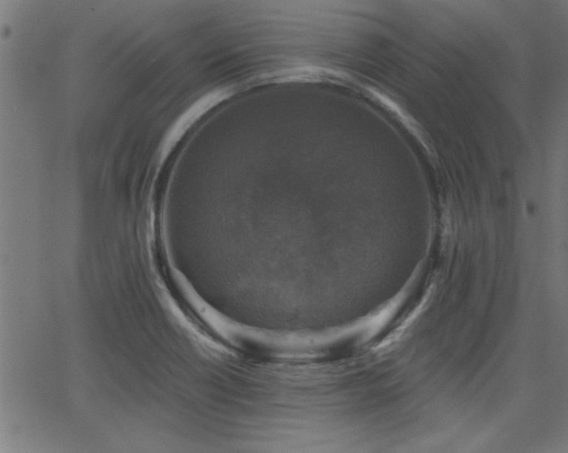 X0000065951418200603031051
