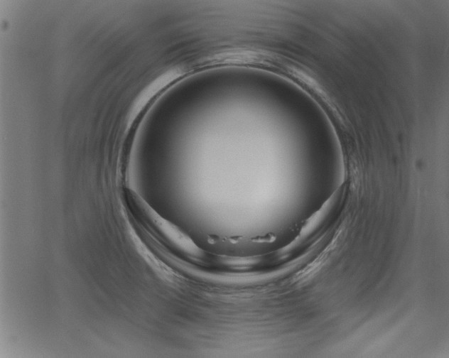 X0000065951426200603031051