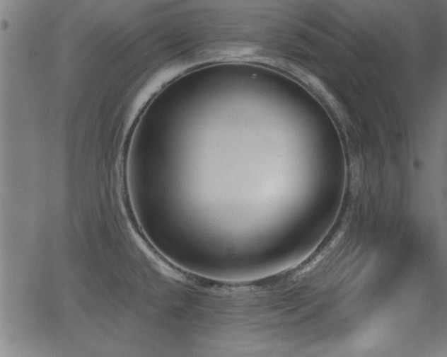 X0000065951432200603031051