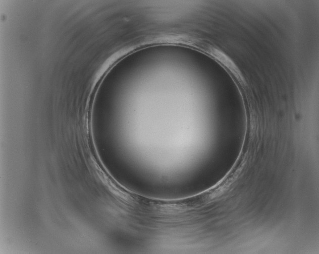 X0000065951436200603031051