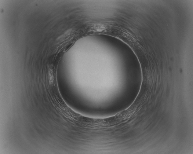 X0000065951442200603031051