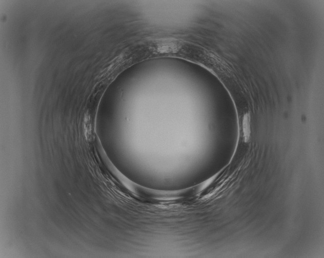X0000065951443200603031051