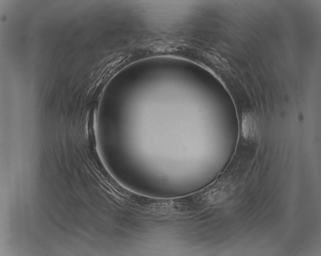X0000065951444200603031051