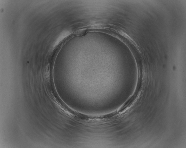 X0000065951450200603031050