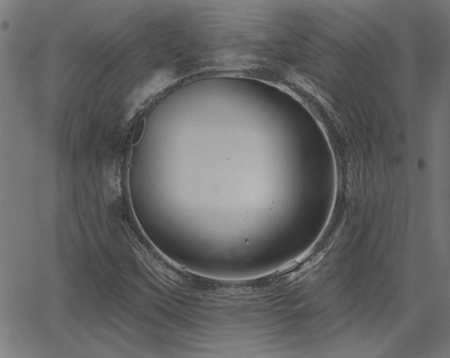 X0000065951451200603031050