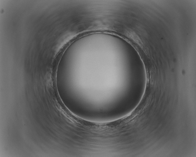 X0000065951452200603031050