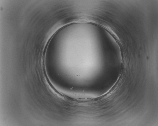 X0000065951484200603031050