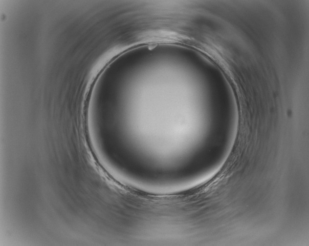 X0000065951488200603031050