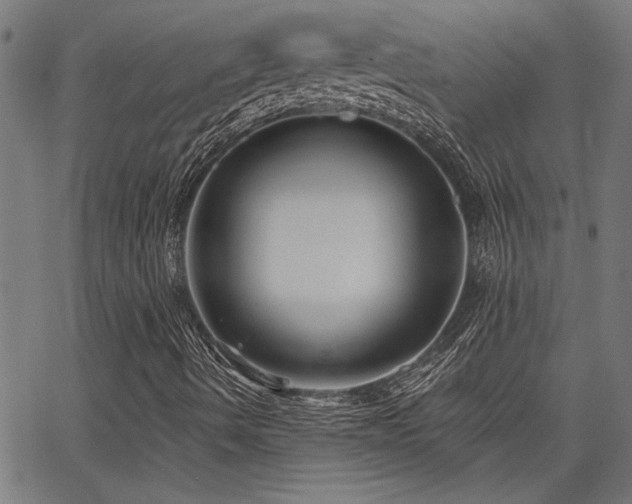 X0000065951490200603031049
