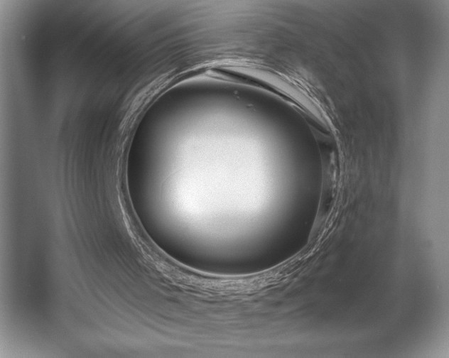 X0000065950001200603061136