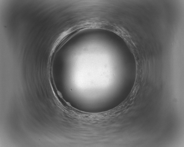 X0000065950003200603061136